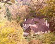 The house and barn from the opposite river bank